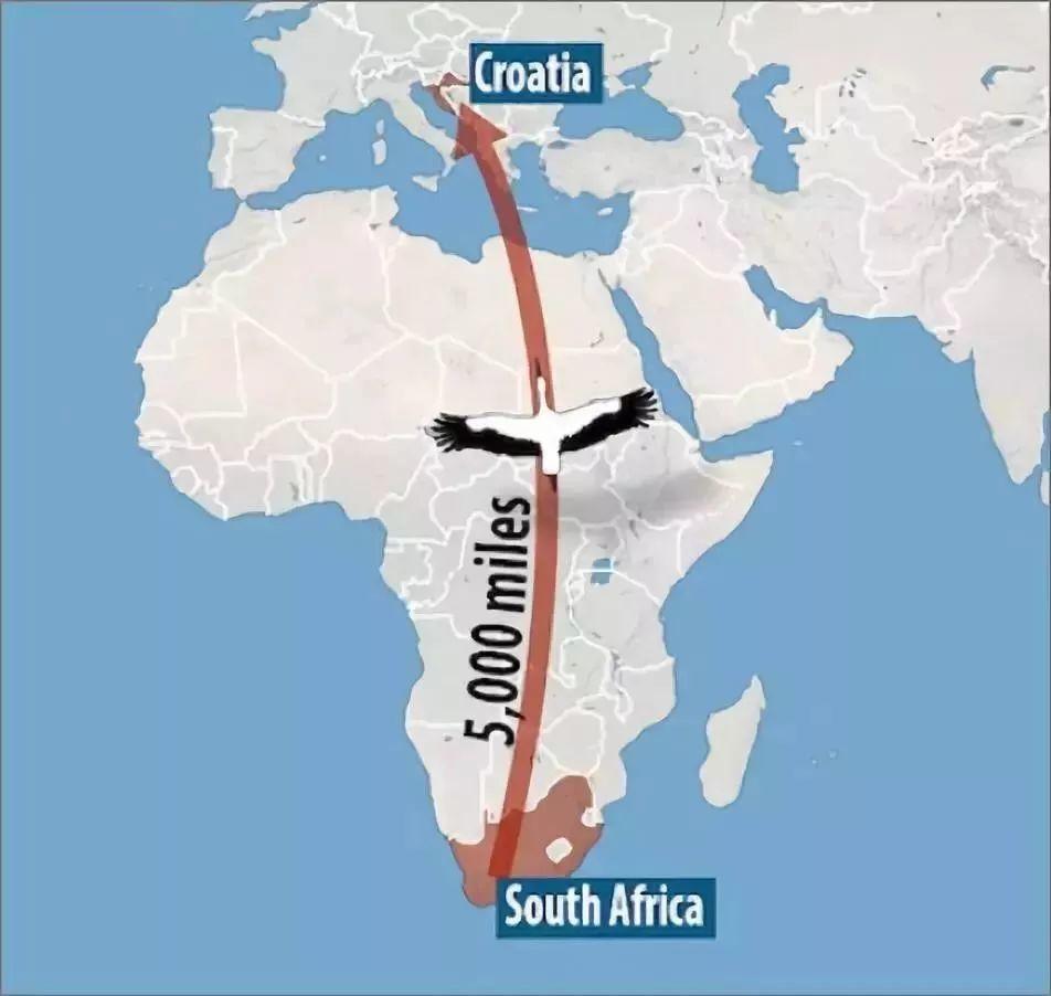 和情人异地17年，每年飞13000公里相见，却在情人生子后离开！这个“负心汉”看哭了全世界…… 