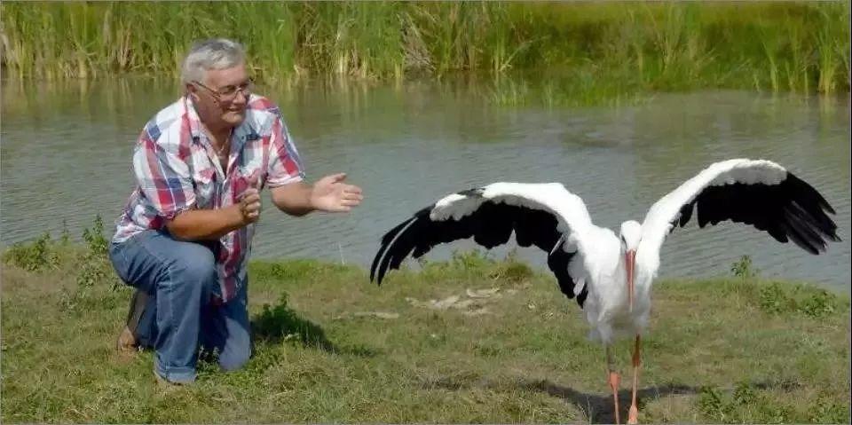 和情人异地17年，每年飞13000公里相见，却在情人生子后离开！这个“负心汉”看哭了全世界…… 