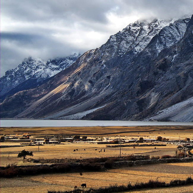 智旅会：真实的西藏有多惊人，看完后你就懂了：我们为什么每年都要去西藏！ 