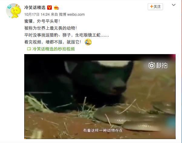 话说平头哥：生死看淡、不服就干！ 