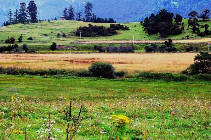 智旅会：真实的西藏有多惊人，看完后你就懂了：我们为什么每年都要去西藏！ 