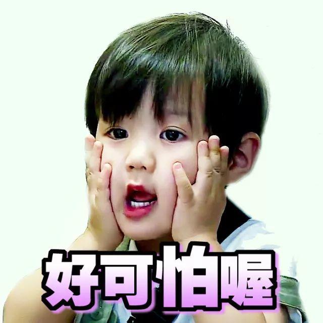 话说平头哥：生死看淡、不服就干！ 