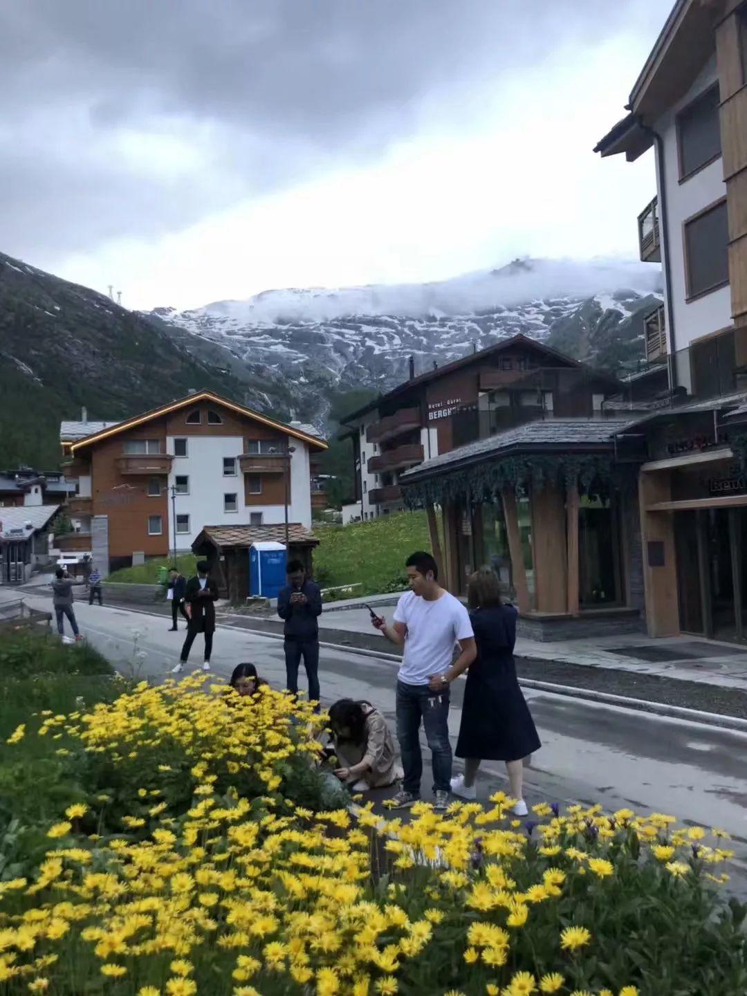 蝉禅：意外之喜 