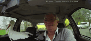 和情人异地17年，每年飞13000公里相见，却在情人生子后离开！这个“负心汉”看哭了全世界…… 