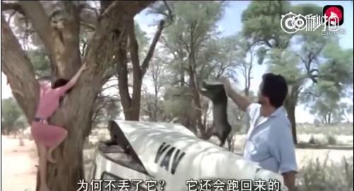 话说平头哥：生死看淡、不服就干！ 