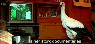 和情人异地17年，每年飞13000公里相见，却在情人生子后离开！这个“负心汉”看哭了全世界…… 