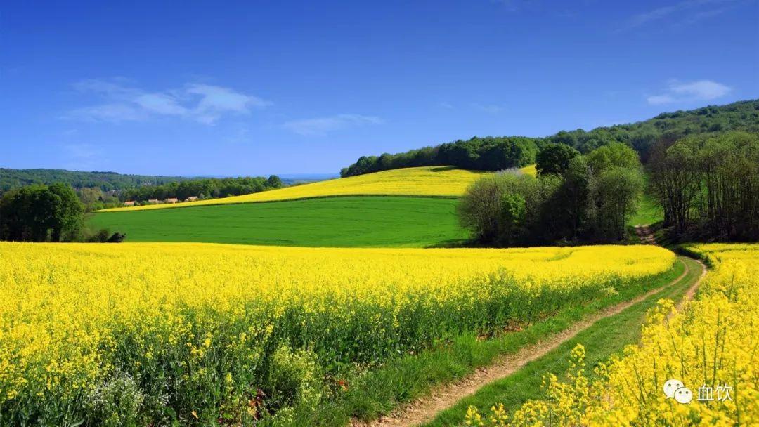 血饮丨中国正式开建生化防御长城，中俄协调叙土伊德利卜冲突！ 