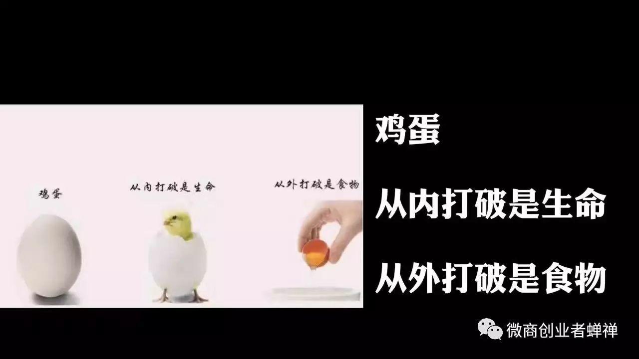 蝉禅:洞悉人性,开发财富,启迪智慧