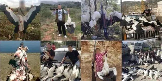 和情人异地17年，每年飞13000公里相见，却在情人生子后离开！这个“负心汉”看哭了全世界…… 