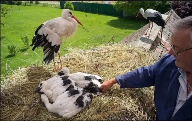 和情人异地17年，每年飞13000公里相见，却在情人生子后离开！这个“负心汉”看哭了全世界…… 