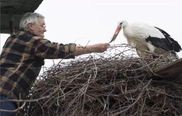 和情人异地17年，每年飞13000公里相见，却在情人生子后离开！这个“负心汉”看哭了全世界…… 