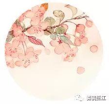 认知层级,决定你的社会位置