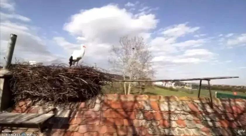 和情人异地17年，每年飞13000公里相见，却在情人生子后离开！这个“负心汉”看哭了全世界…… 