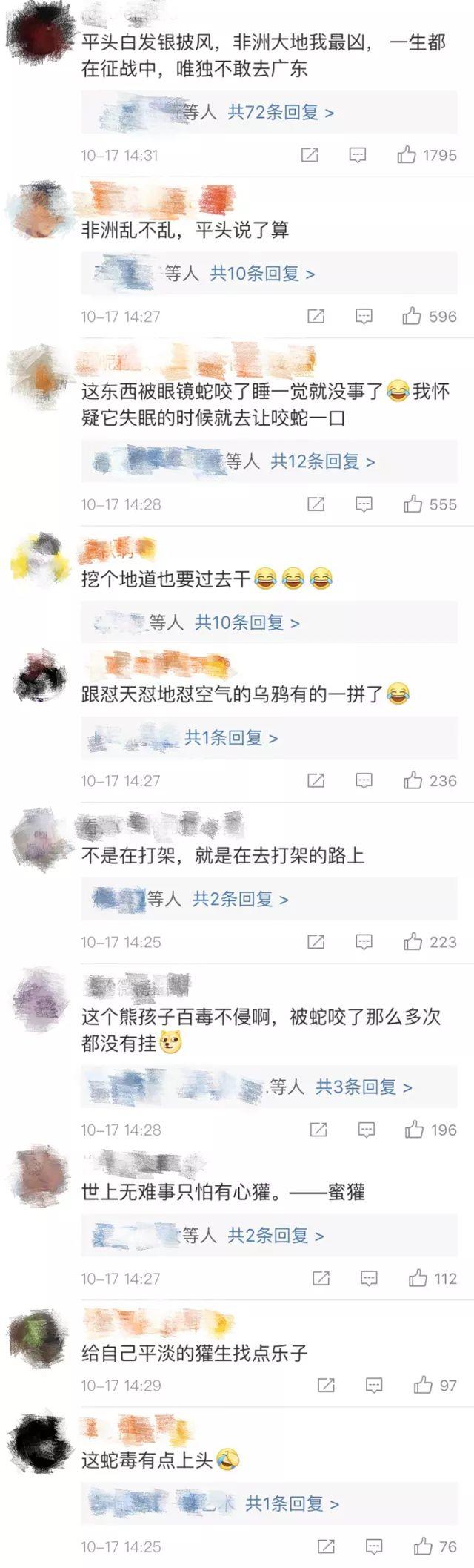 话说平头哥：生死看淡、不服就干！ 