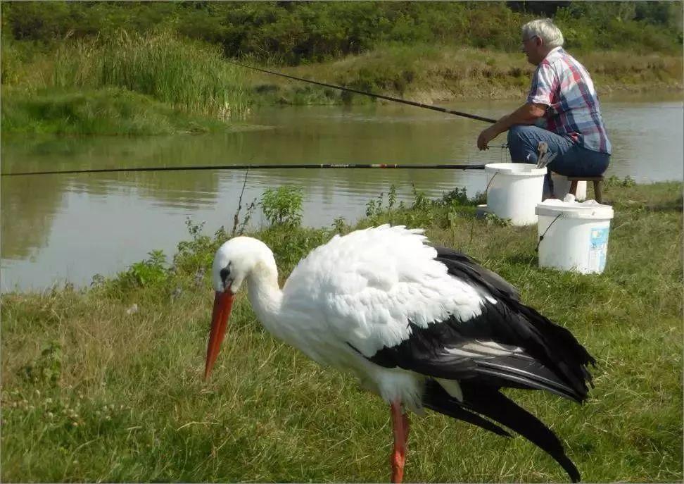 和情人异地17年，每年飞13000公里相见，却在情人生子后离开！这个“负心汉”看哭了全世界…… 