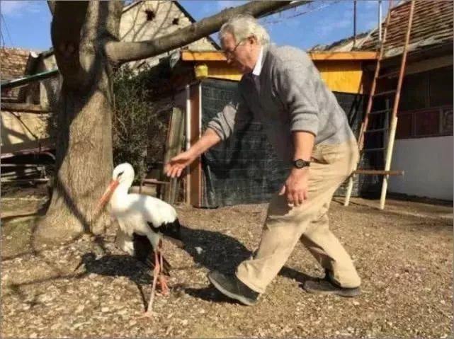 和情人异地17年，每年飞13000公里相见，却在情人生子后离开！这个“负心汉”看哭了全世界…… 