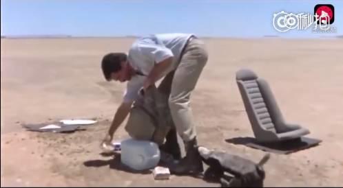 话说平头哥：生死看淡、不服就干！ 