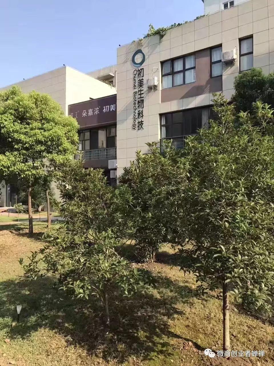 蝉禅:胡言,乱语