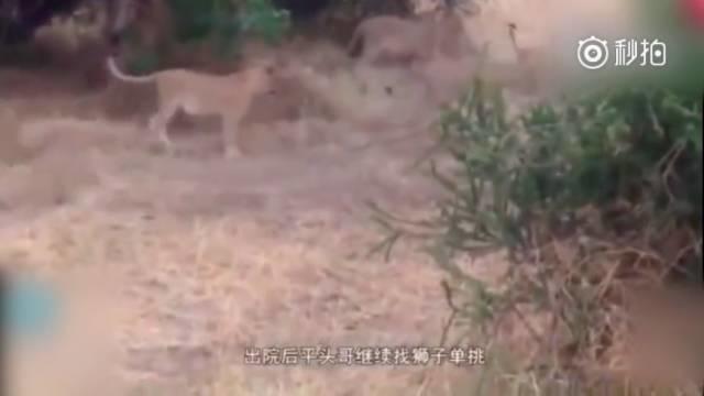 话说平头哥：生死看淡、不服就干！ 