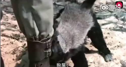 话说平头哥：生死看淡、不服就干！ 