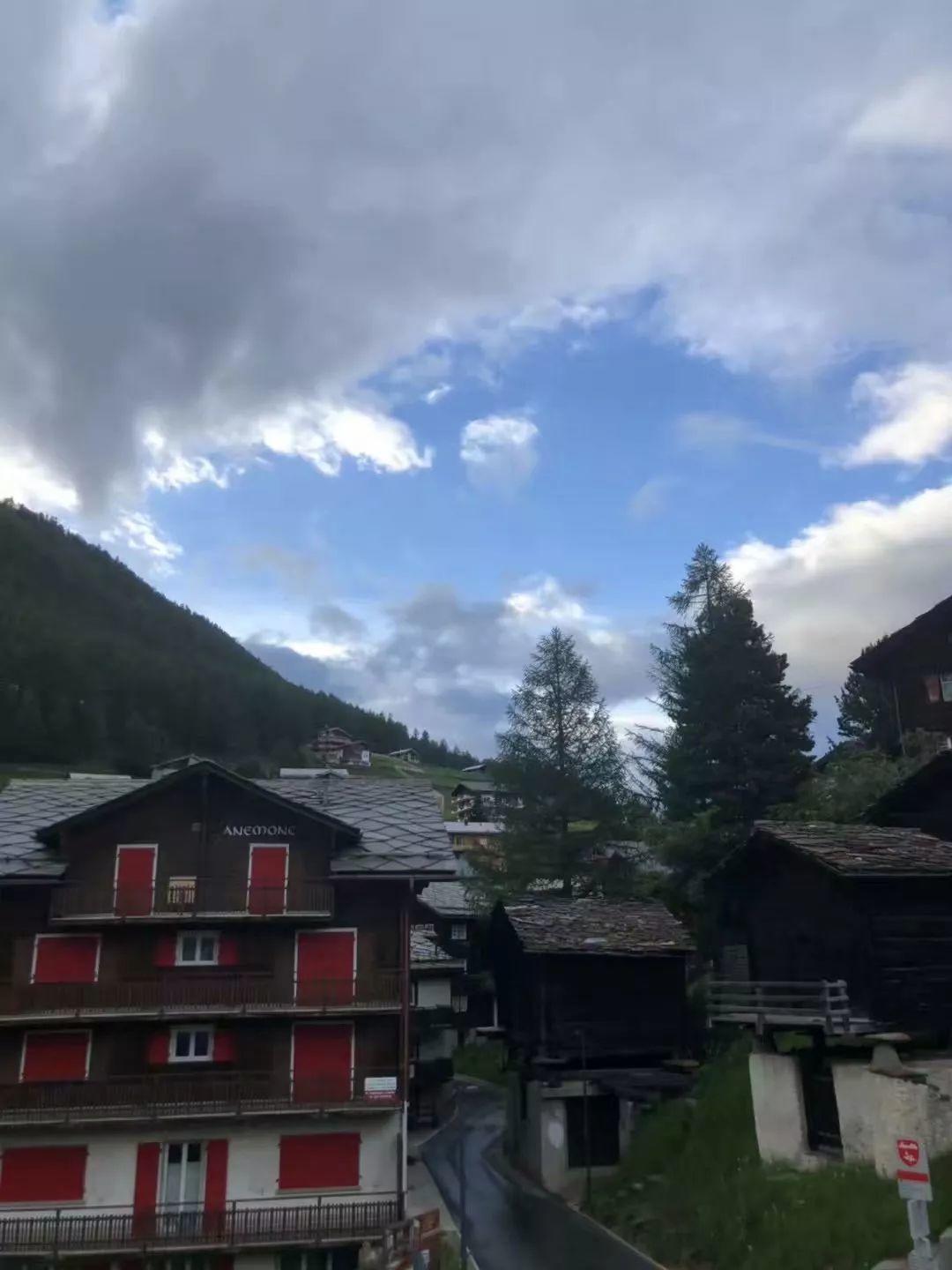 蝉禅：意外之喜 