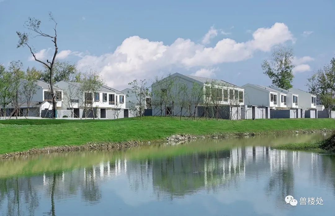 兽爷丨终于有人穿墙而过 