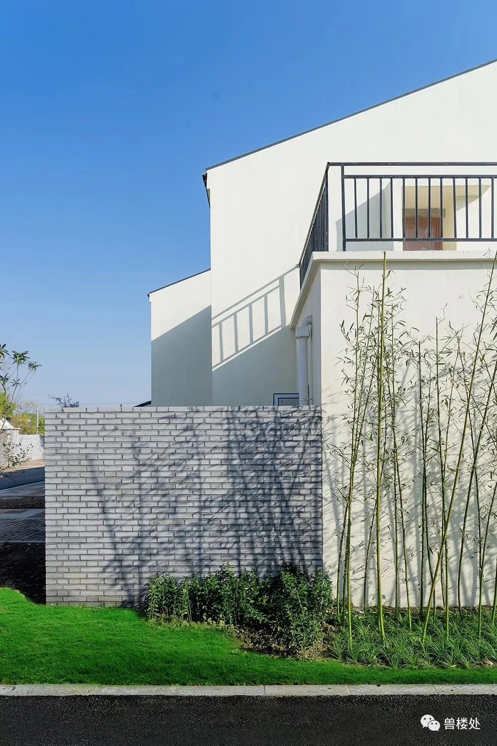 兽爷丨终于有人穿墙而过 