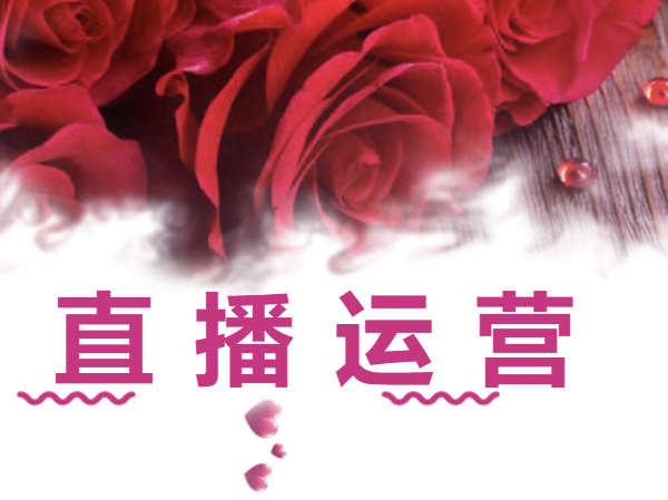 各行业网络资料，分类整理下载福利 