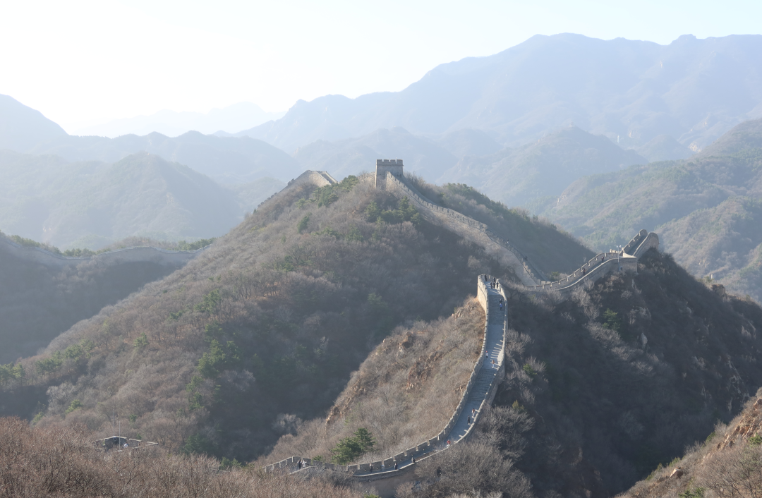 上位，候补中！ 