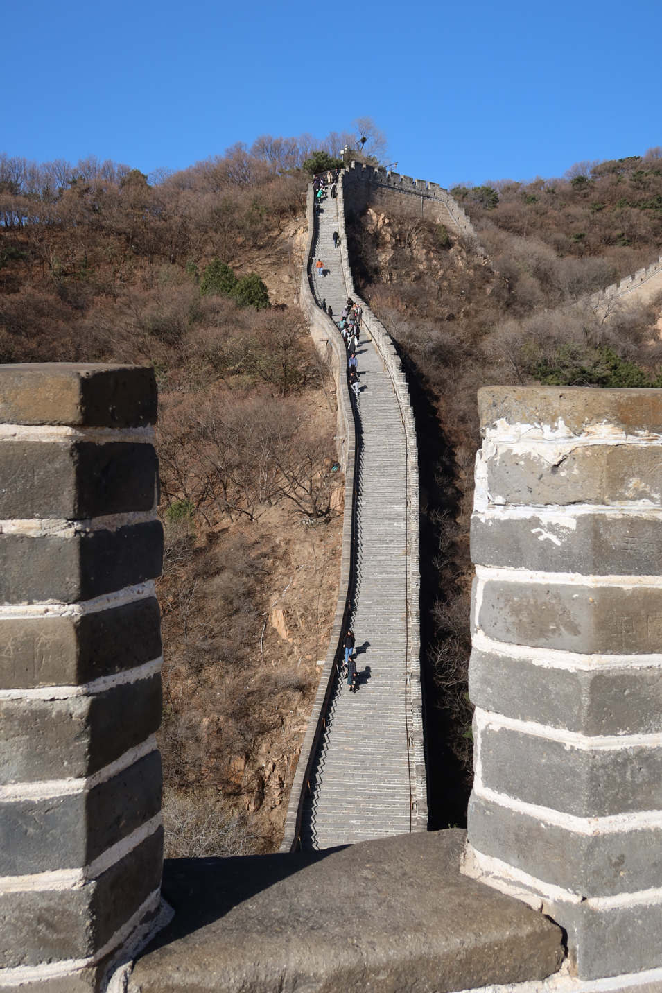 上位，候补中！ 