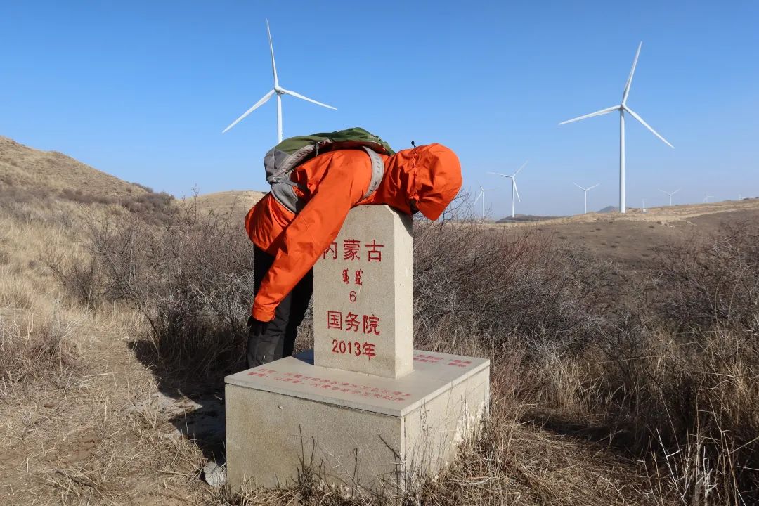 草书。