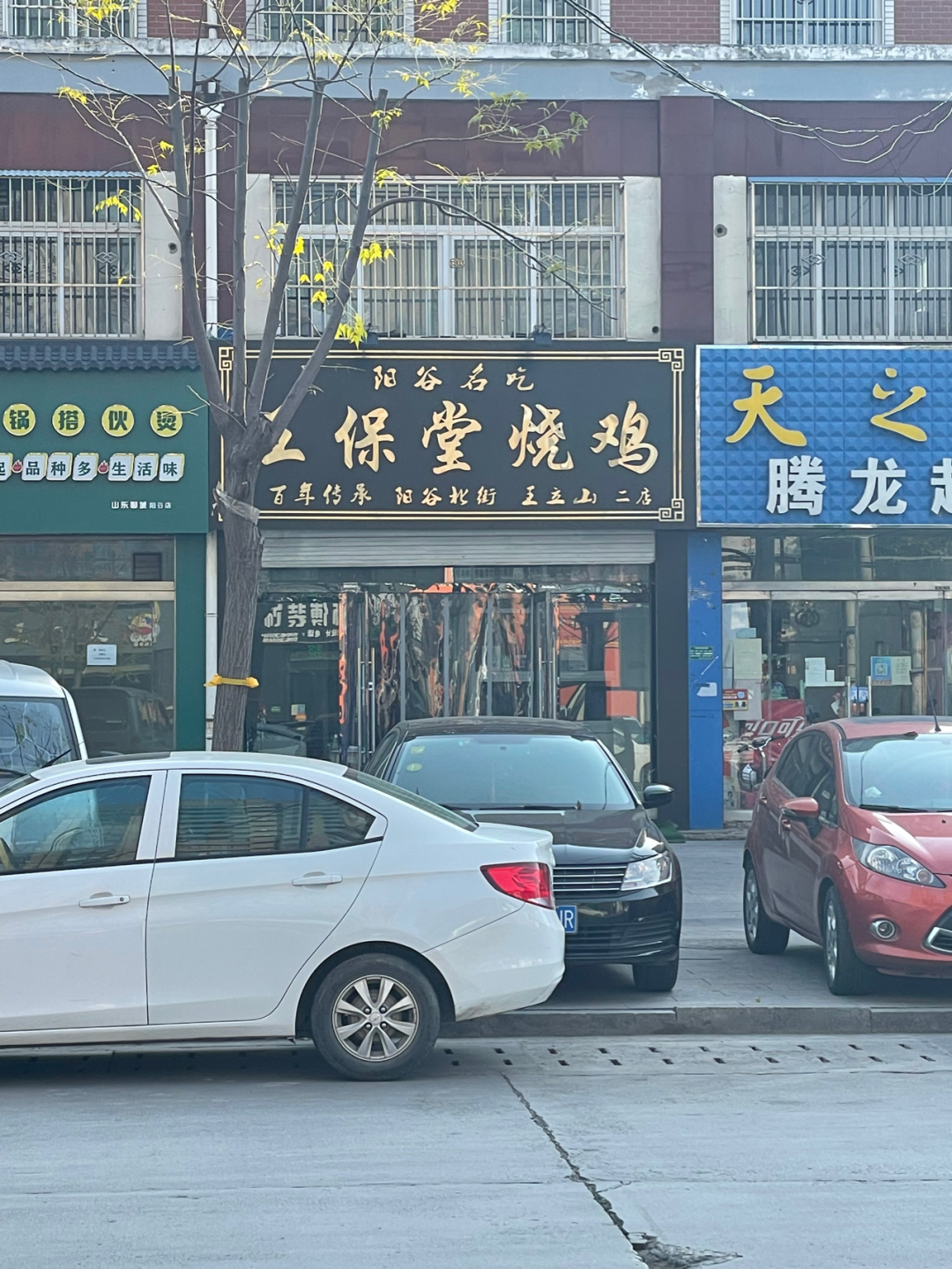 《懂懂骑山东》--聊城阳谷县 