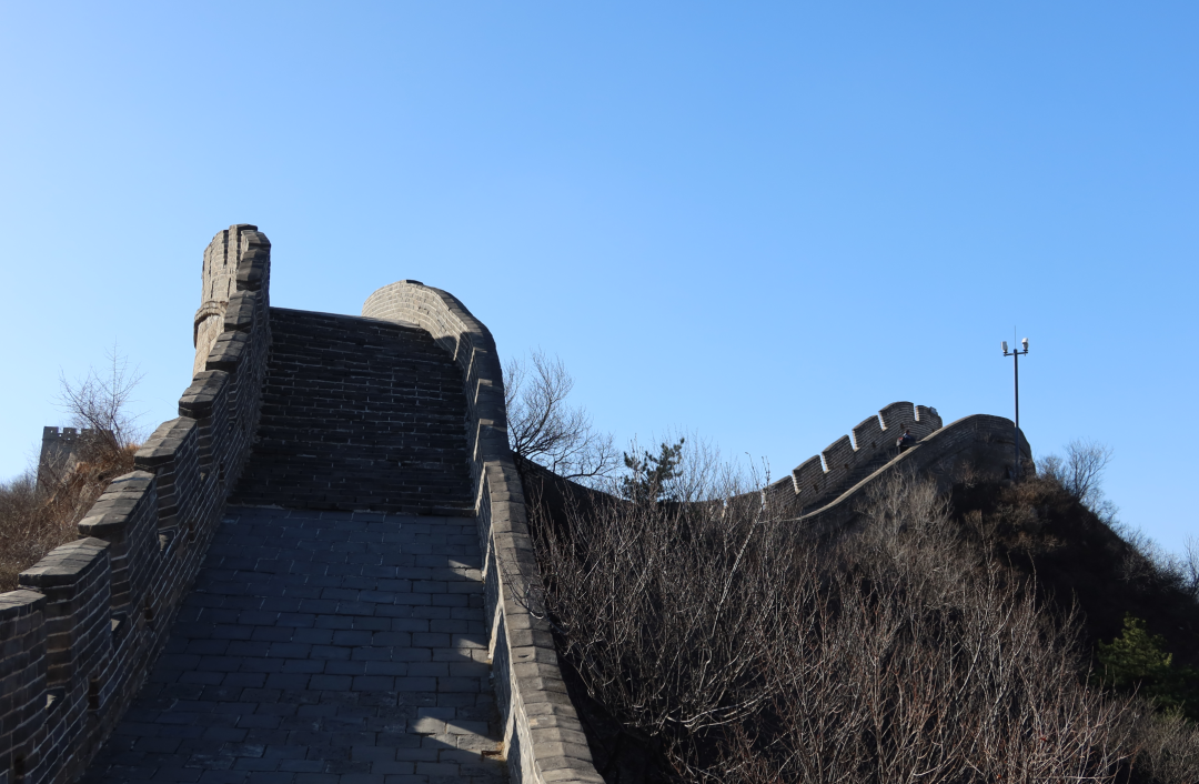 上位，候补中！ 