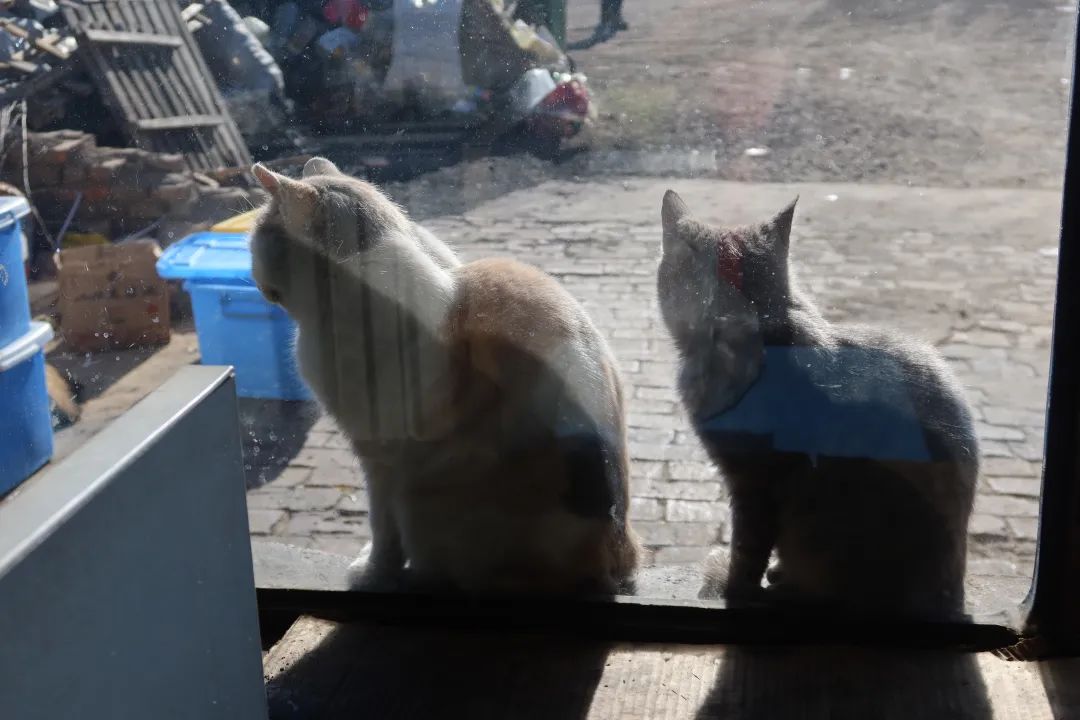 HOW?