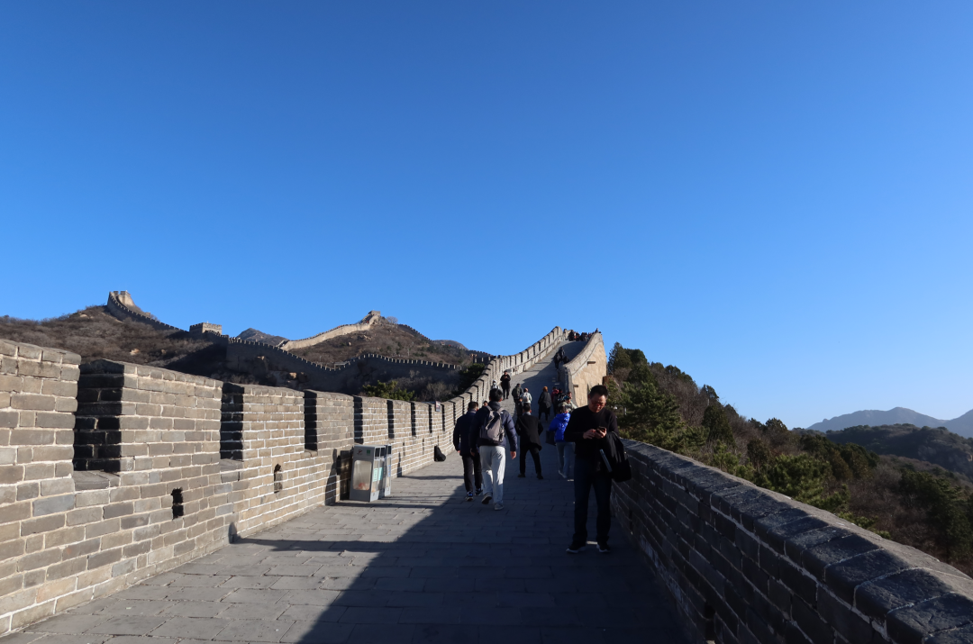 上位，候补中！ 