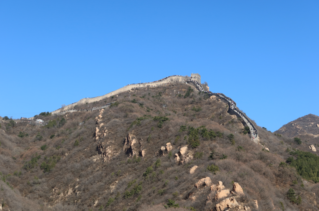 上位，候补中！ 