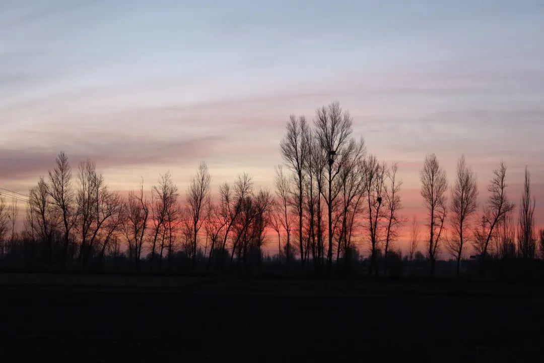 23-12-10