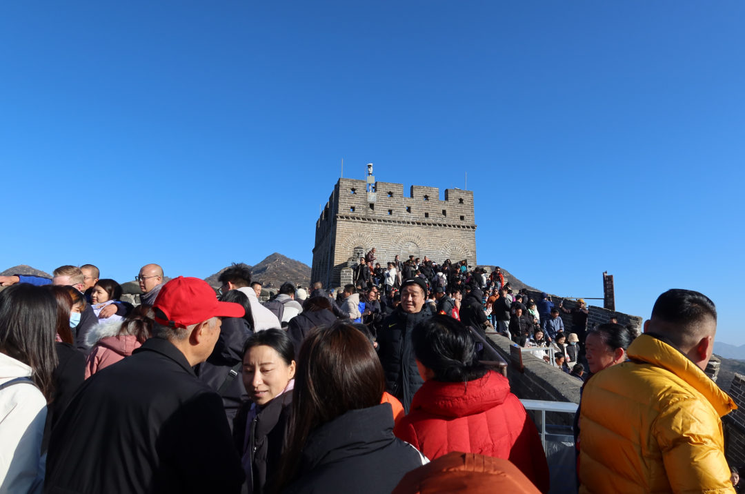 上位，候补中！ 