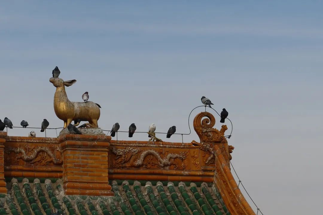敷衍,12-4