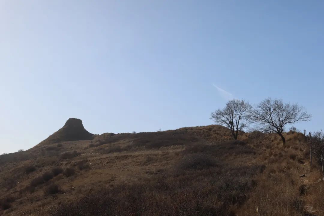 草书。