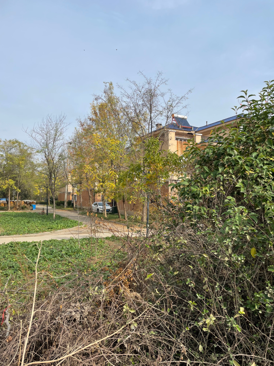 《懂懂骑山东》--菏泽东明县 