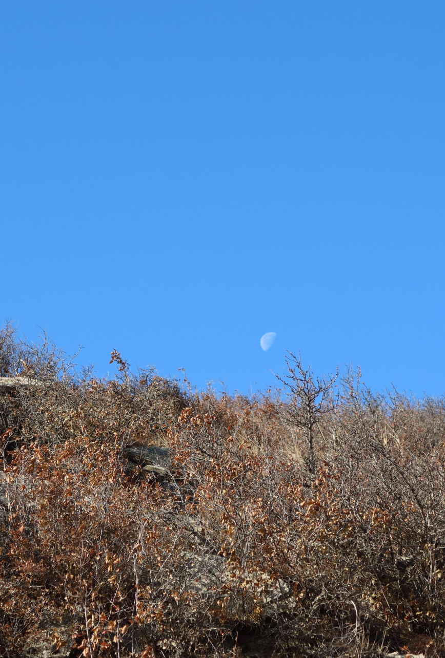我从山海关爬到了嘉峪关(连载九)
