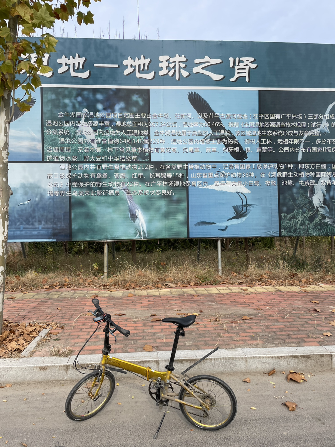 《懂懂骑山东》--聊城主城区 