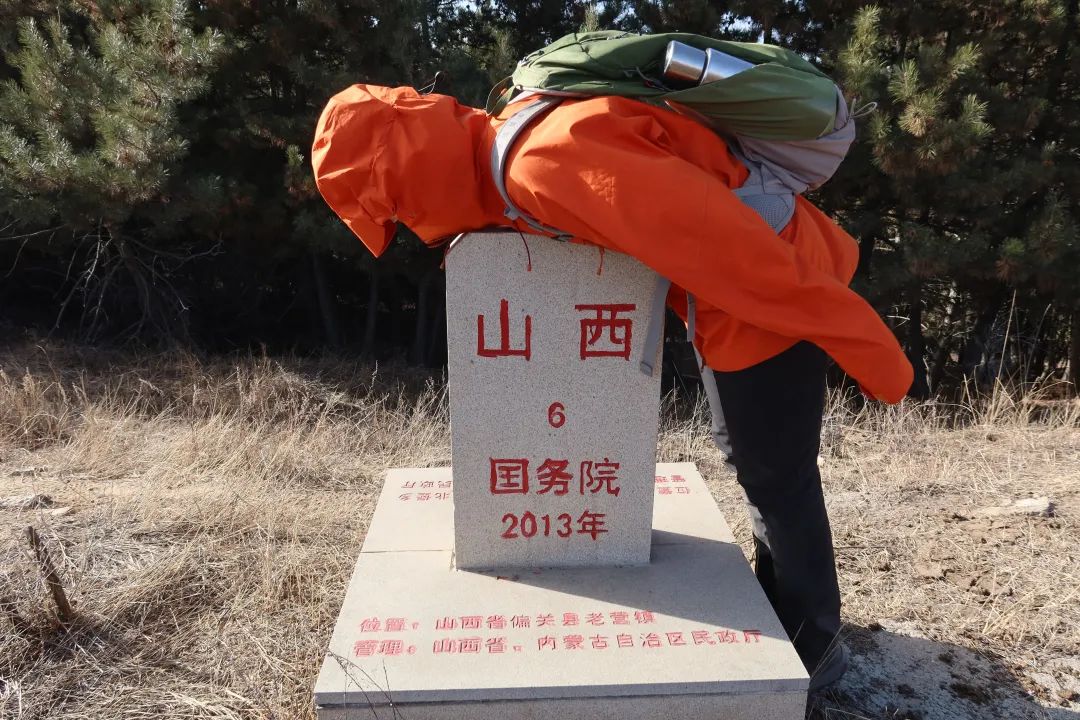 草书。