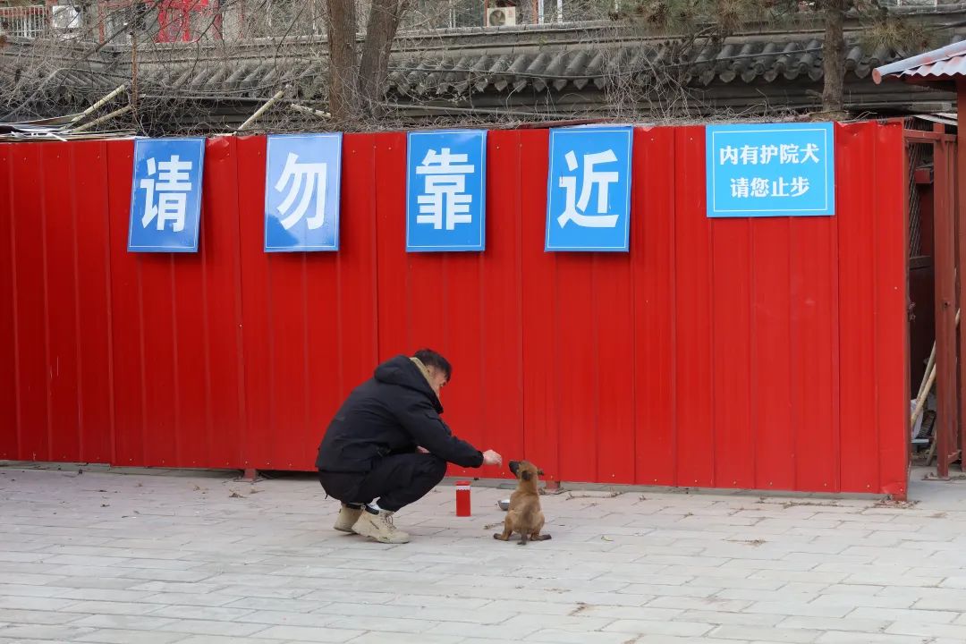 敷衍,12-4