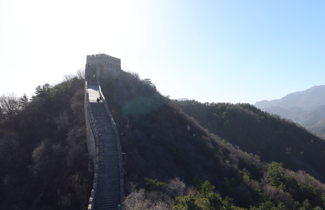 上位，候补中！ 