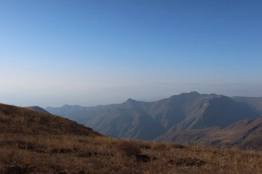 镰刀,起。