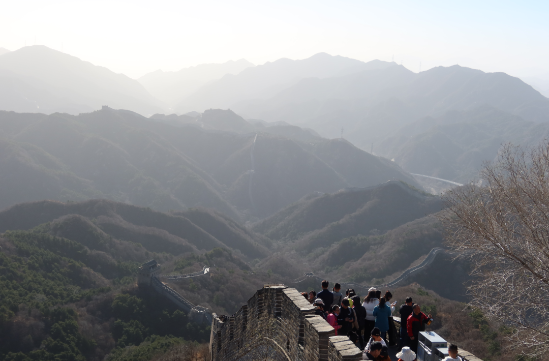 上位，候补中！ 