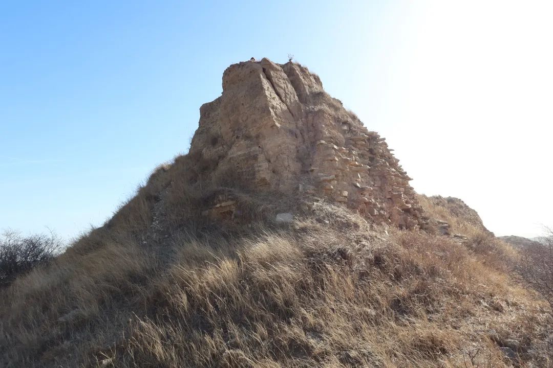 草书。
