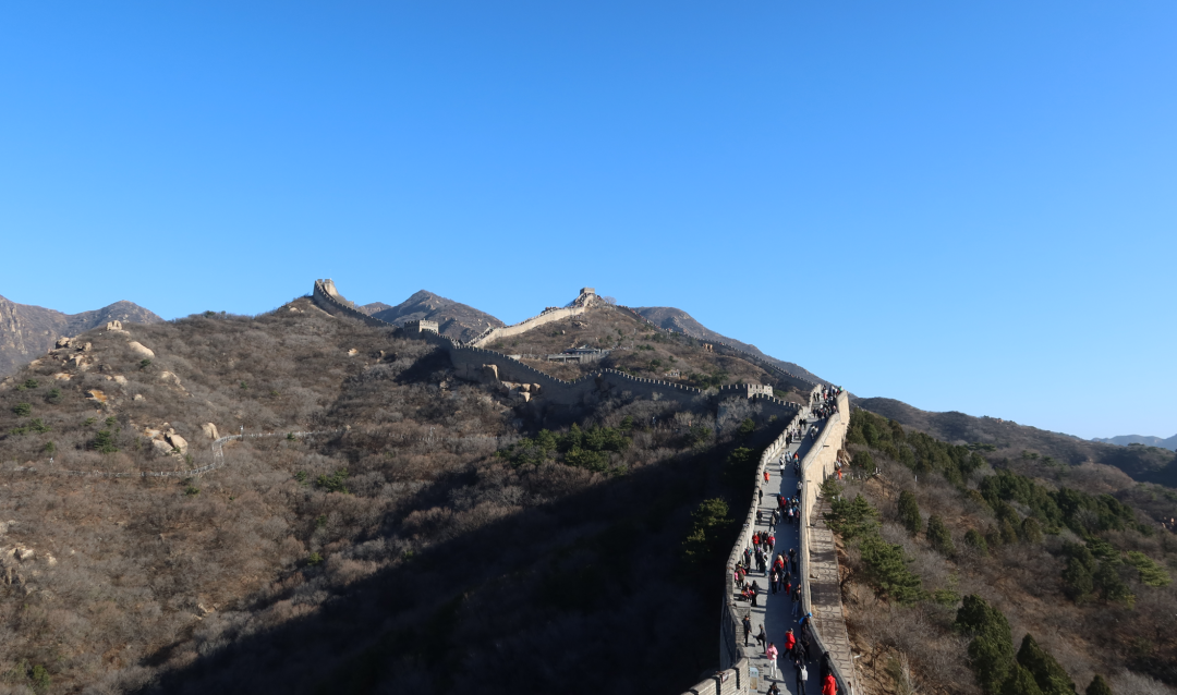 上位，候补中！ 